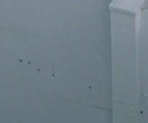 Biblijna influenserka strzelała do Rihanny! Celebrytka zatrzymana