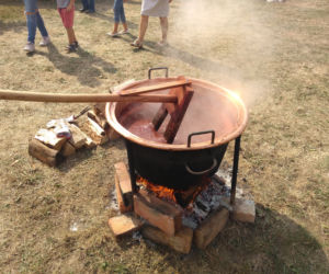 Święto Śliwki 2018