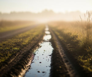 Śmierć 6-letniej Marysi na drodze. Jakie błędy popełnił traktorzysta?