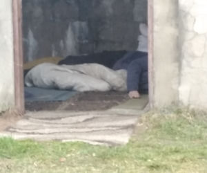 Bełchatów. Zwłoki bezdomnego przy ulicy Goetla