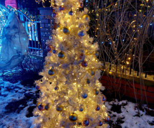 Dom bydgoskich Griswoldów znów rozbłysł. Powieśiliśmy 300 tysięcy lampek. Przygotowywaliśmy jej od lipca!