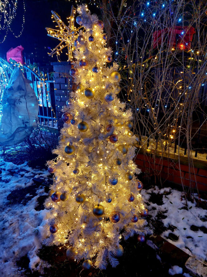 Dom bydgoskich Griswoldów znów rozbłysł. "Powieśiliśmy 300 tysięcy lampek. Przygotowywaliśmy jej od lipca!"
