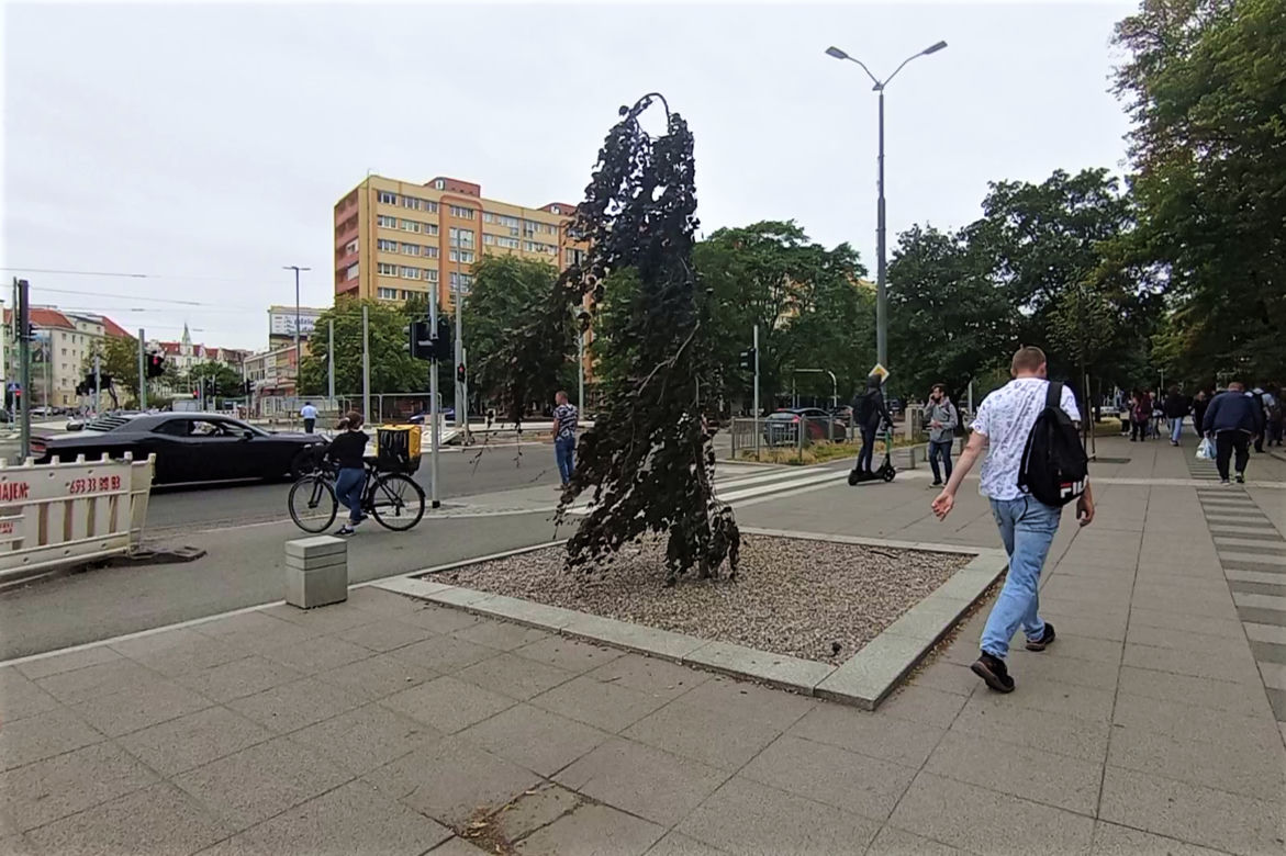 Plac Rodła po przebudowie