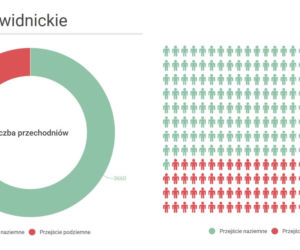 Przejście Świdnickie wyniki badań