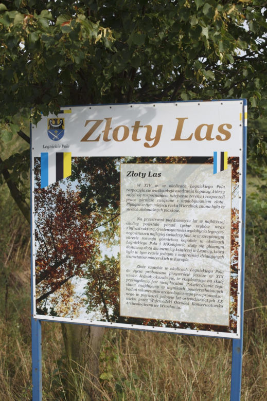 Mikołajowice. Mieszkamy na żyle złota