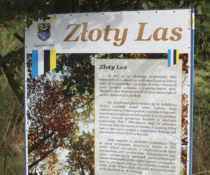 Mikołajowice. Mieszkamy na żyle złota