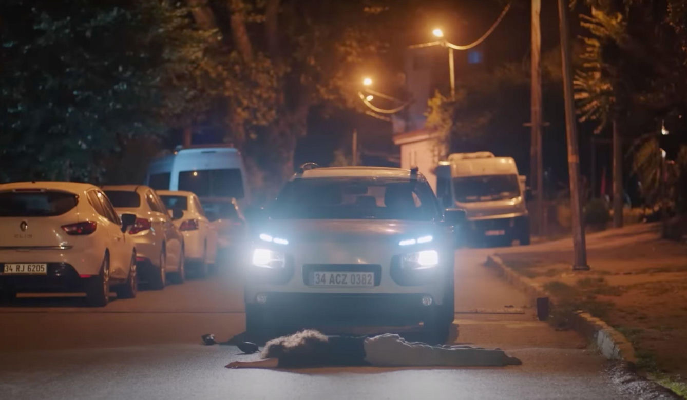 Melodi ginie potrącona przez pijaną rywalkę.