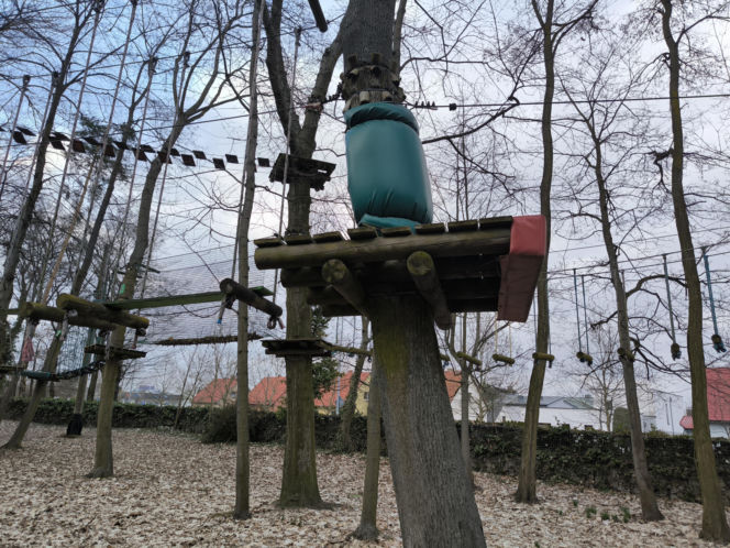 Park Linowy Tarzan w Lesznie