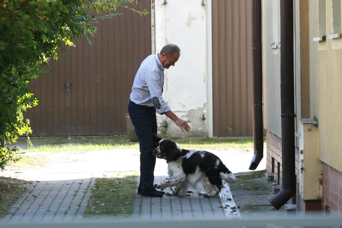 Tusk sprząta po psie