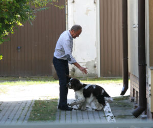 Tusk sprząta po psie