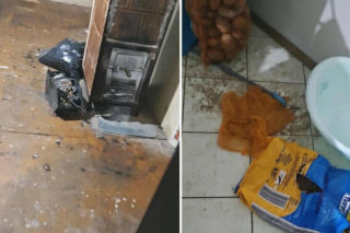 Bytom. Uratowano zaniedbanego psa i 3-miesięczne niemowlę