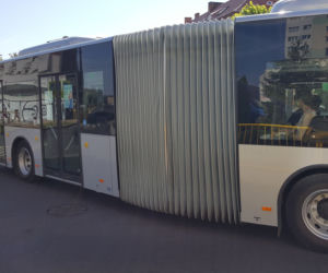 Pierwszy kurs autobusu przegubowego w Grudziądzu