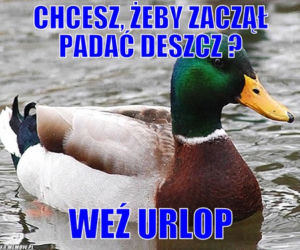 Urlop: memy