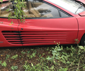 11 klasycznych Ferrari porzuconych w polu