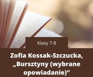 Nowe lektury szkolne. Jakie książki pojawią się w szkołach?