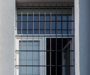 Przyjaciółka przywitała Misia po wyjściu z za krat