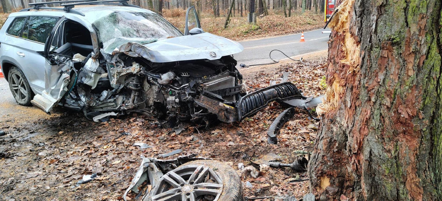 Skoda z dwiema osobami w środku uderzyła w drzewo. 4-letnie dziecko trafiło do szpitala