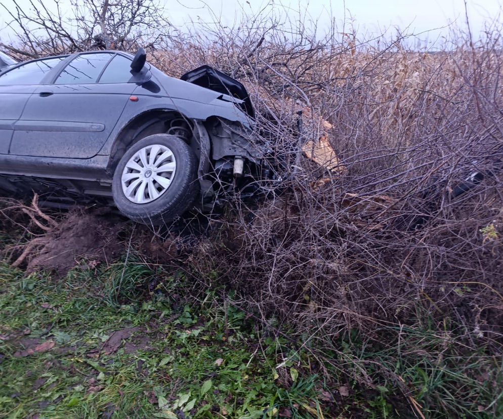 Tragiczny wypadek w pow. gostyńskim. Nie żyje mężczyzna