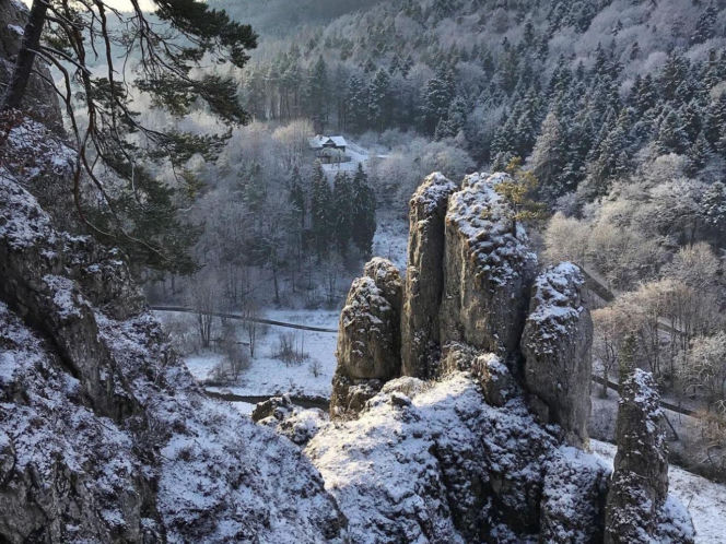 Najlepsze miejsca na spacer zimą w Śląskiem