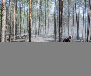 POŻAR ŚCIÓŁKI W PALMIRACH.