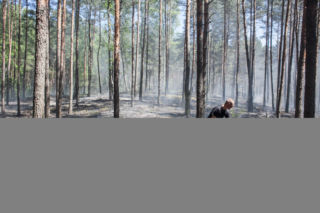 POŻAR ŚCIÓŁKI W PALMIRACH.