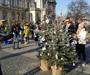 Oddalibyście choinkę w ręce dzieci? Oni to zrobili!