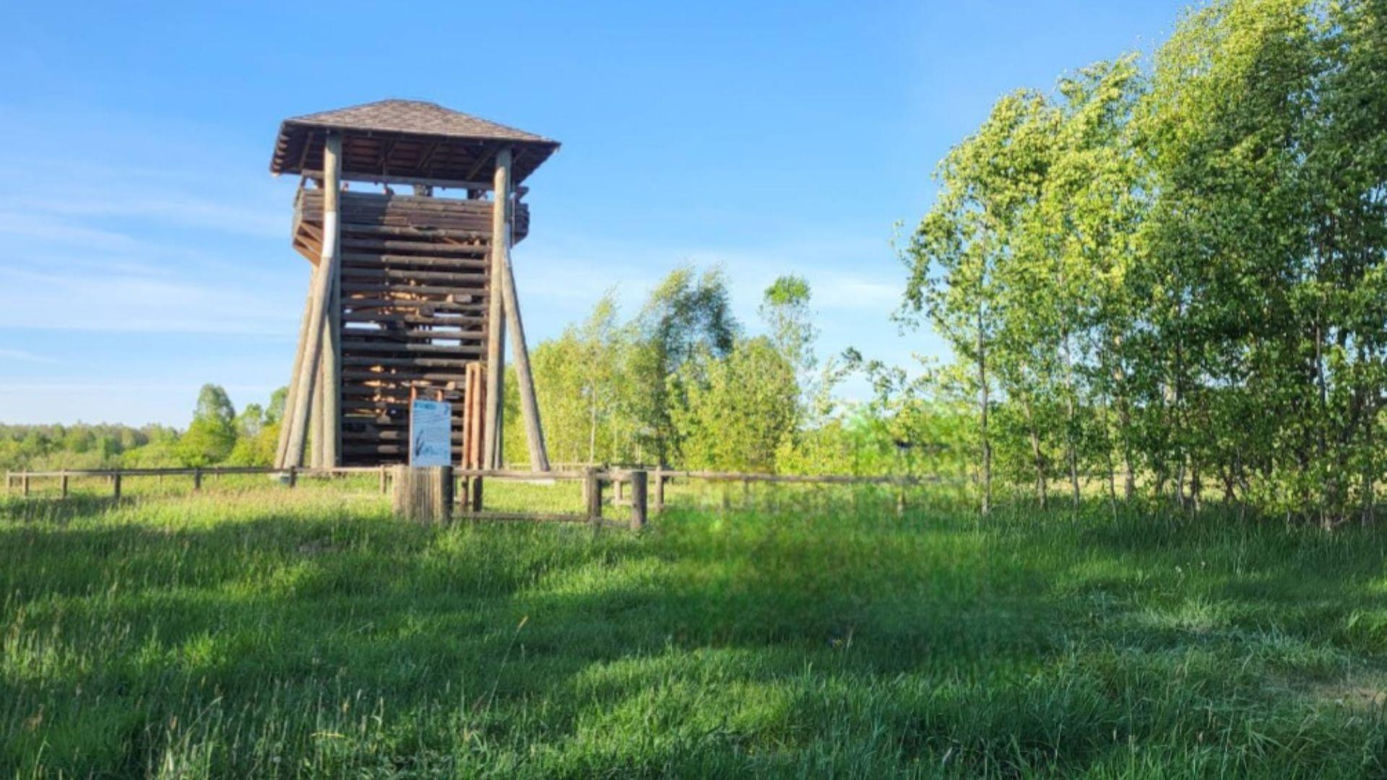 Wieża widokowa w Kruszynianach