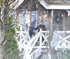 Prawdziwe paparazzi Rozenków nad morzem