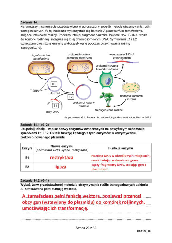 Matura 2025 biologia rozszerzona: ODPOWIEDZI do wszystkich zadań, gotowe rozwiązania matury z biologii rozszerzonej - Formuła 2015 [9.05.2025]	