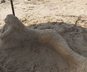 Szukamy imienia dla Syrenki, która pojawiła się na plaży w Brodach