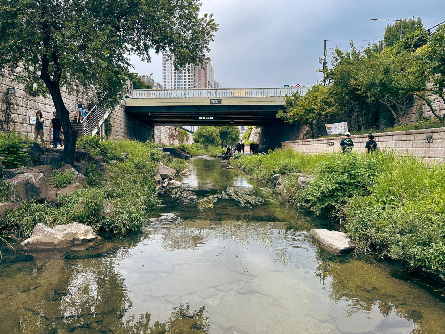 Cheonggyecheon, Seul