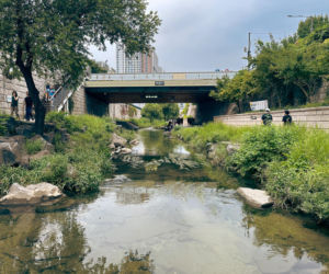 Cheonggyecheon, Seul