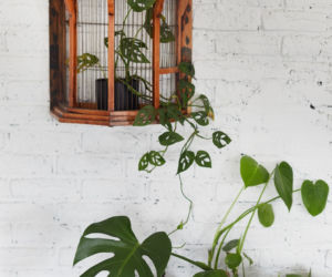 boho