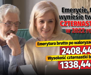 Emerycie, tyle wyniesie twoja czternastka w 2022 roku!