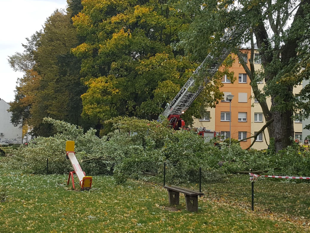 Strażacy (i piły) na pełnych obrotach