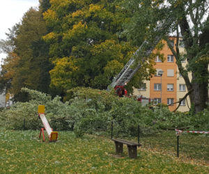 Strażacy (i piły) na pełnych obrotach