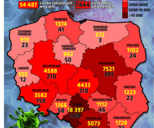 Koronawirus w Polsce. Statystyki, wykresy, grafiki (13 sierpnia)