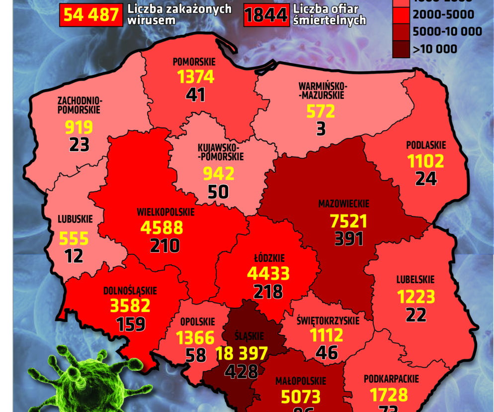 Koronawirus w Polsce. Statystyki, wykresy, grafiki (13 sierpnia)