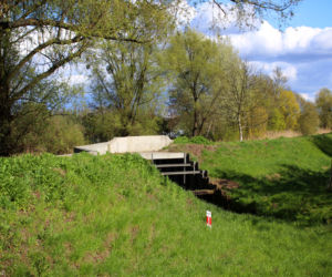 Wyspa Pucka w Szczecinie