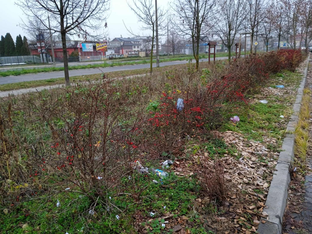 Park kieszonkowy w Siedlcach przy ul. Jagiełły
