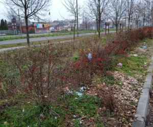 Park kieszonkowy w Siedlcach przy ul. Jagiełły