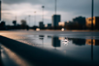 Śmiertelny wypadek w Krakowie. Kierowca ciężarówki bez zarzutów?