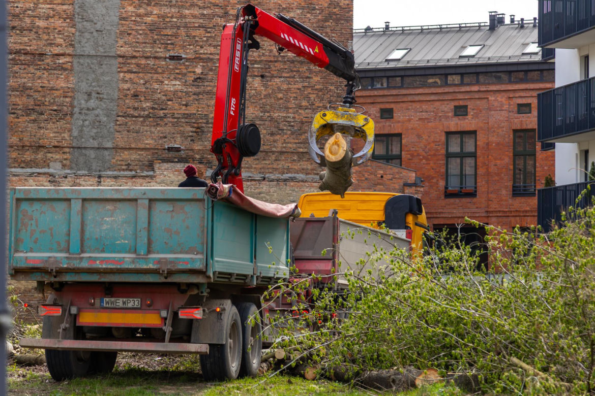 Nielegalna wycinka drzew przy ul. Radzymińskiej 14 w Warszawie