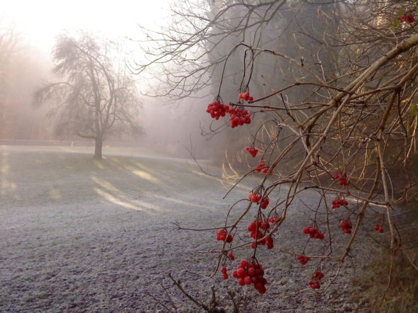 Poranek zaskoczył mieszkańców Polski. W tych miejscach temperatura spadła poniżej zera
