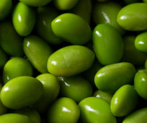 Ta roślina to prawdziwa bomba białkowa. W Polsce prawie nieznana