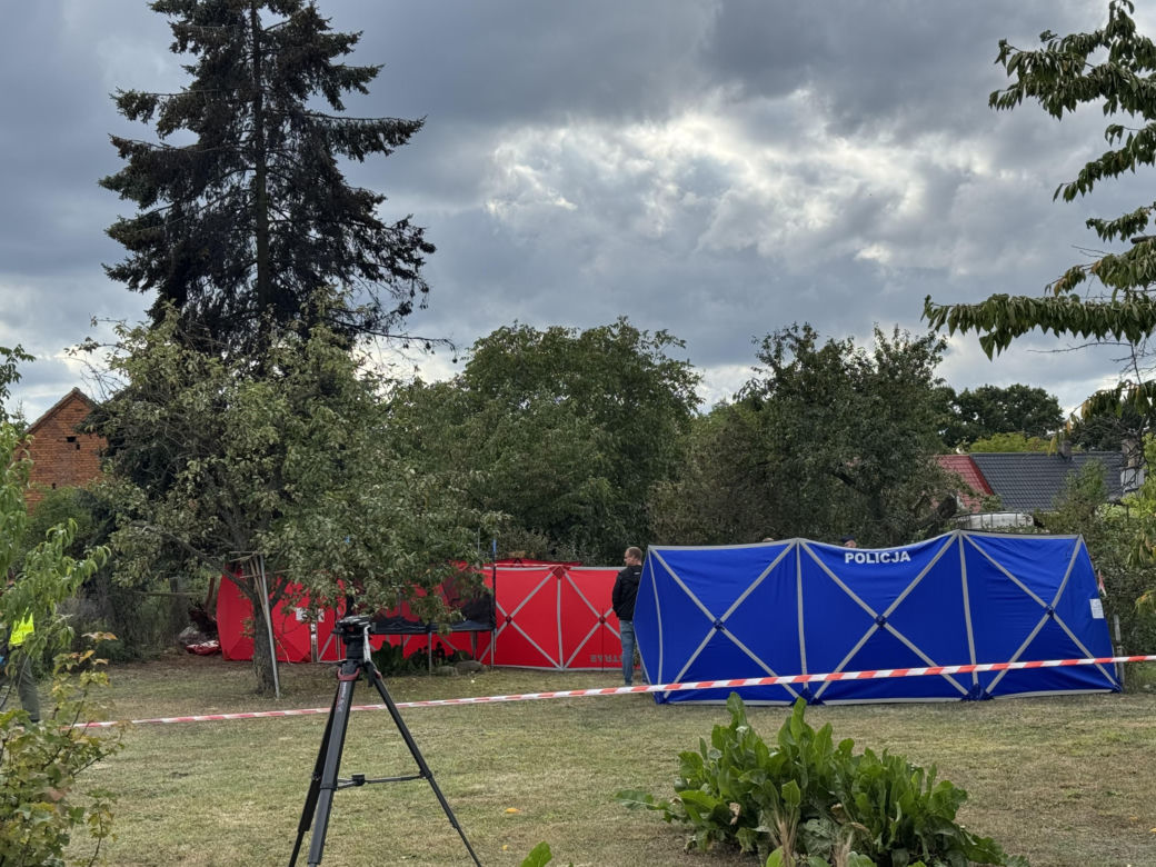 Wypadek awionetki w Krzycku Wielkim