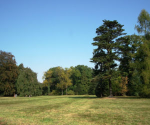 Park Szczytnicki