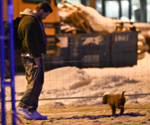 Sebastian Fabijański z pieskiem na spacerze
