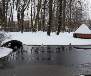 Z górki na pazurki, czyli zima w Parku 1000-lecia w Lesznie