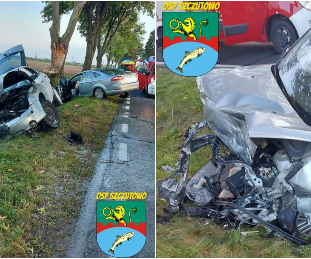 Koszmarny wypadek pod Sierpcem! Kilka karetek i śmigłowiec zabrały 5 rannych [ZDJĘCIA]